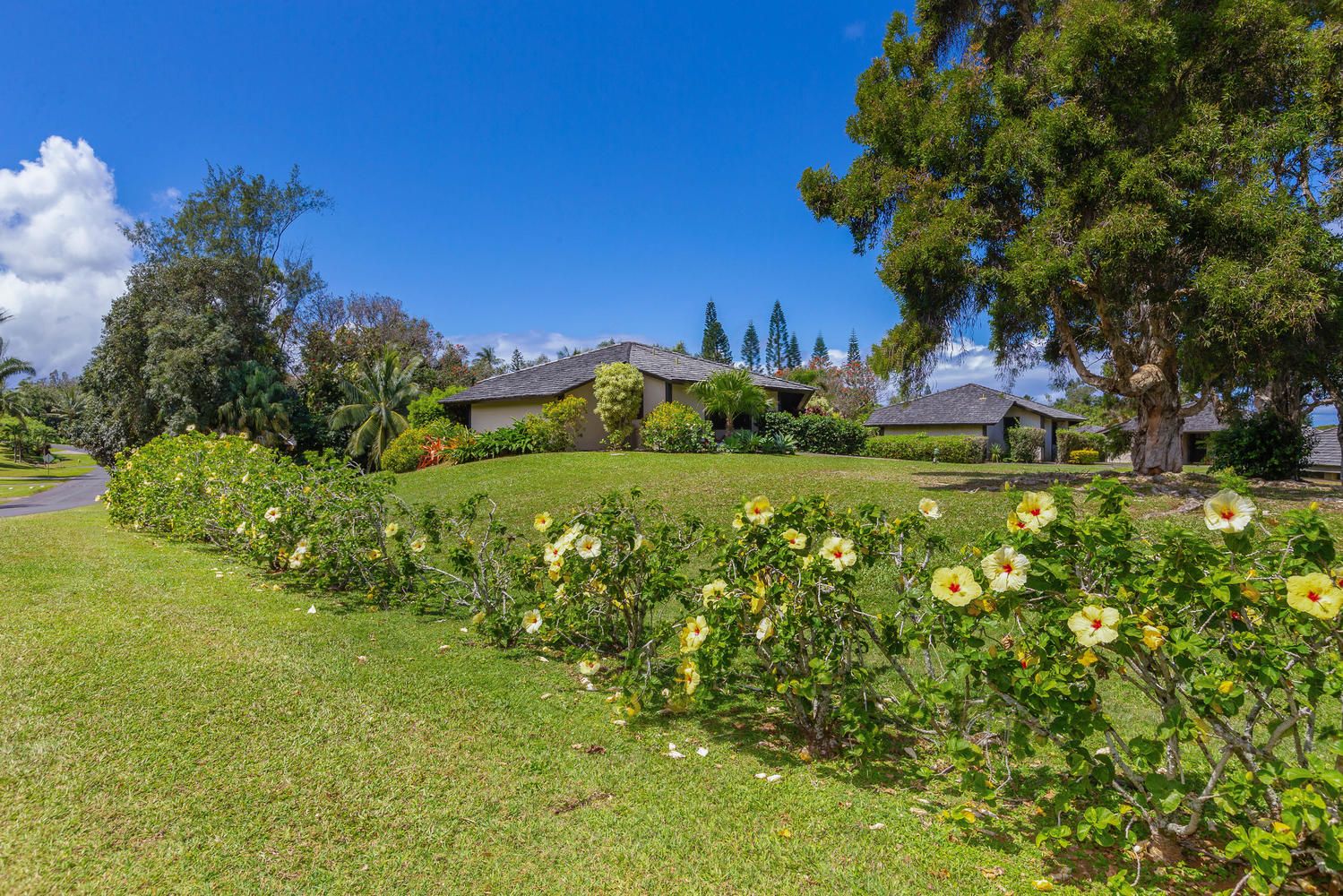 Paliuli #1 House / Cottage rental in Kauai Vacation Home Rentals in Kauai Hawaii - #25