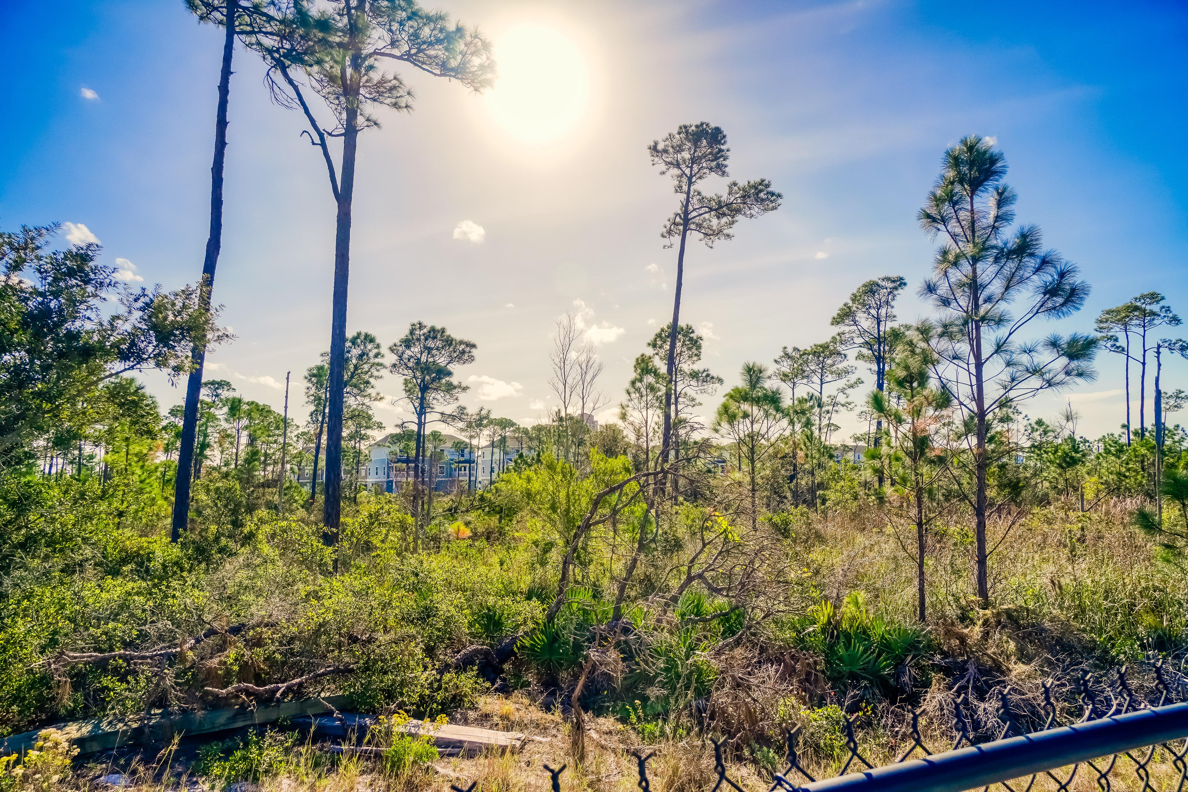 Emerald by the Sea Condo rental in Lost Key Golf and Beach Club Vacation Rentals in Perdido Key Florida - #27