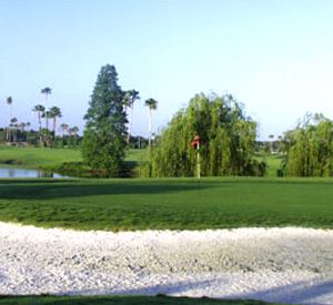 Mangrove Bay Golf Course in St. Pete Beach Florida