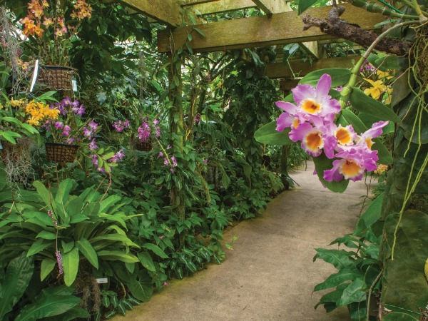 Marie Selby Botanical Gardens in Sarasota Florida