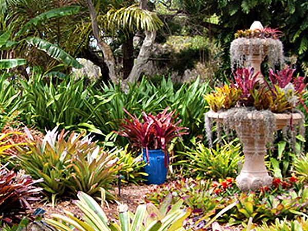 Marie Selby Botanical Gardens in Siesta Key Florida