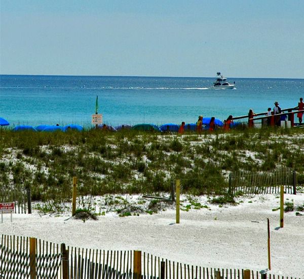 Sandollar in Navarre Florida