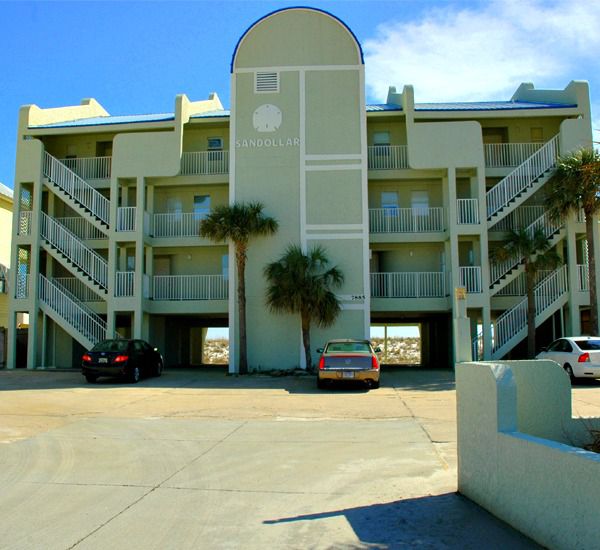 Sandollar in Navarre Florida