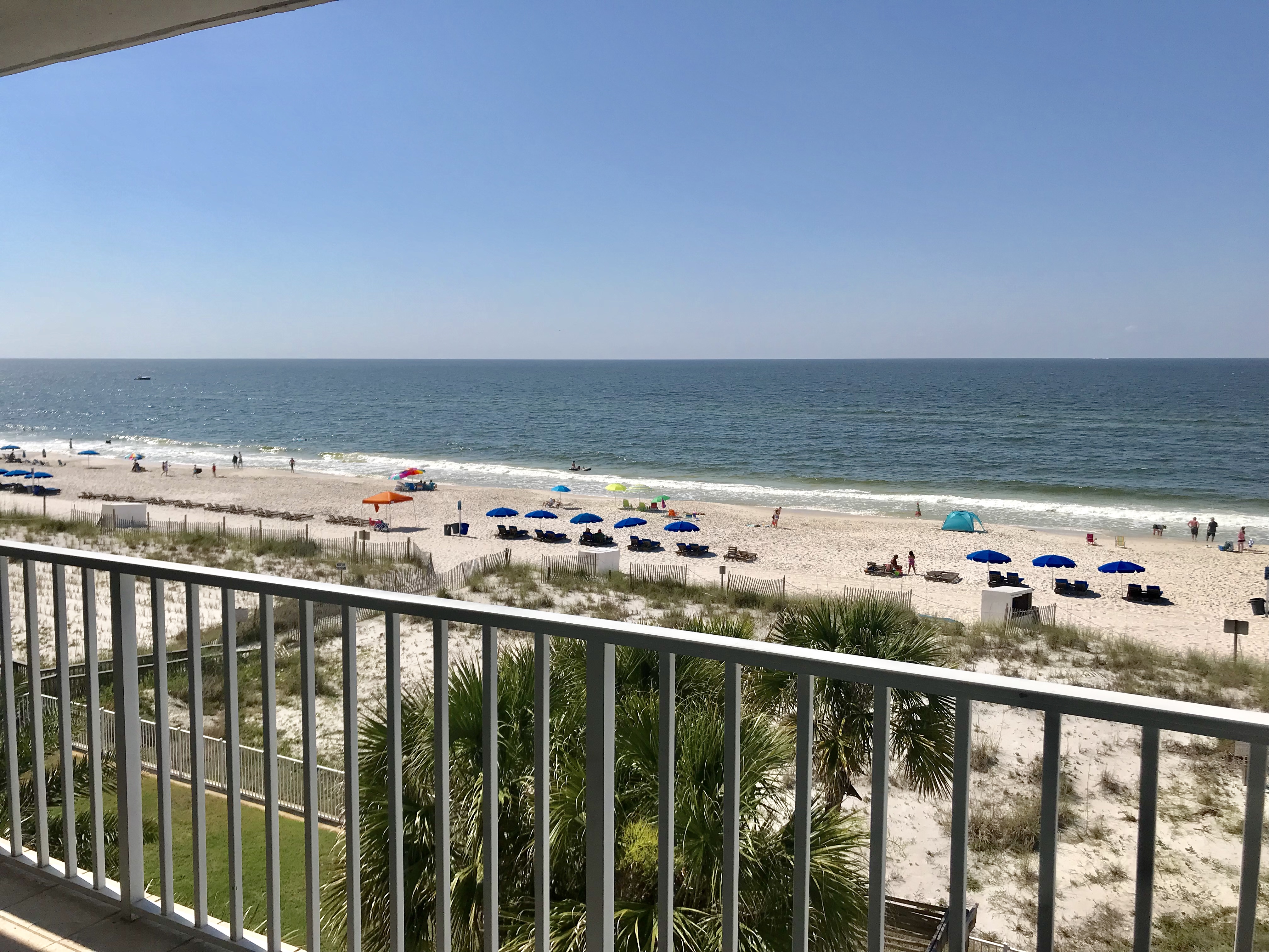 Ocean House 2403 Condo rental in Ocean House - Gulf Shores in Gulf Shores Alabama - #17