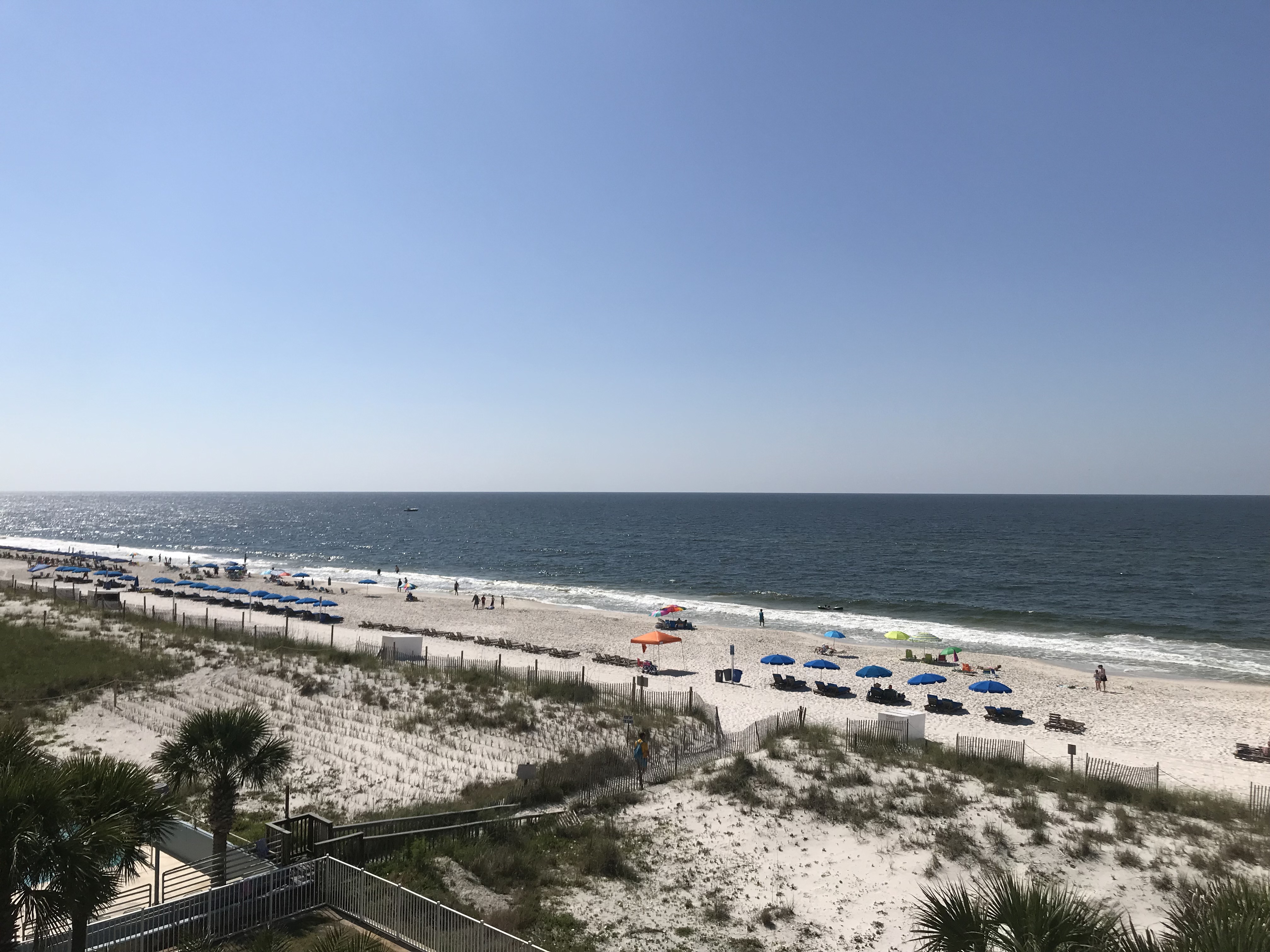 Ocean House 2403 Condo rental in Ocean House - Gulf Shores in Gulf Shores Alabama - #19