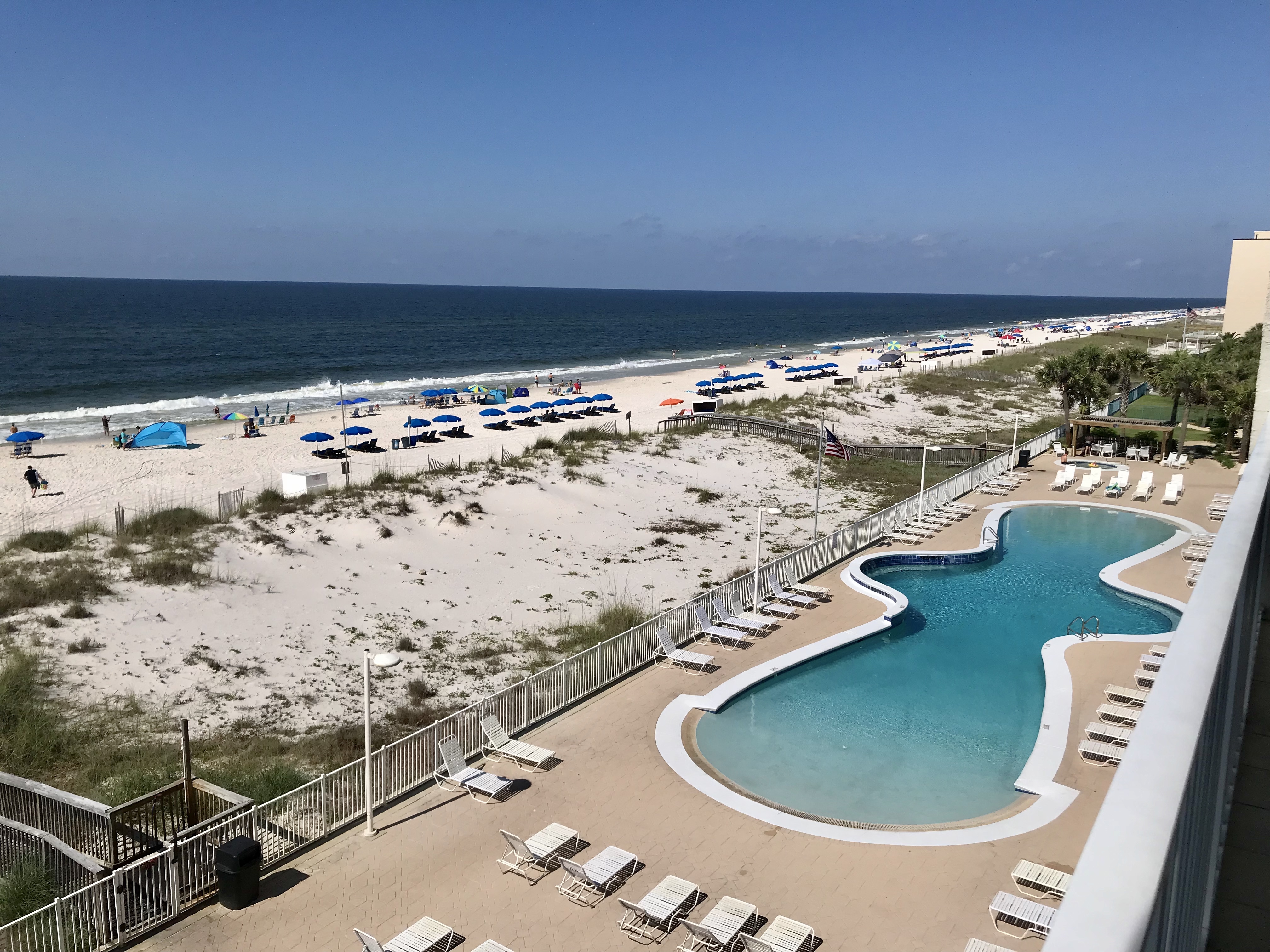 Ocean House 2403 Condo rental in Ocean House - Gulf Shores in Gulf Shores Alabama - #20