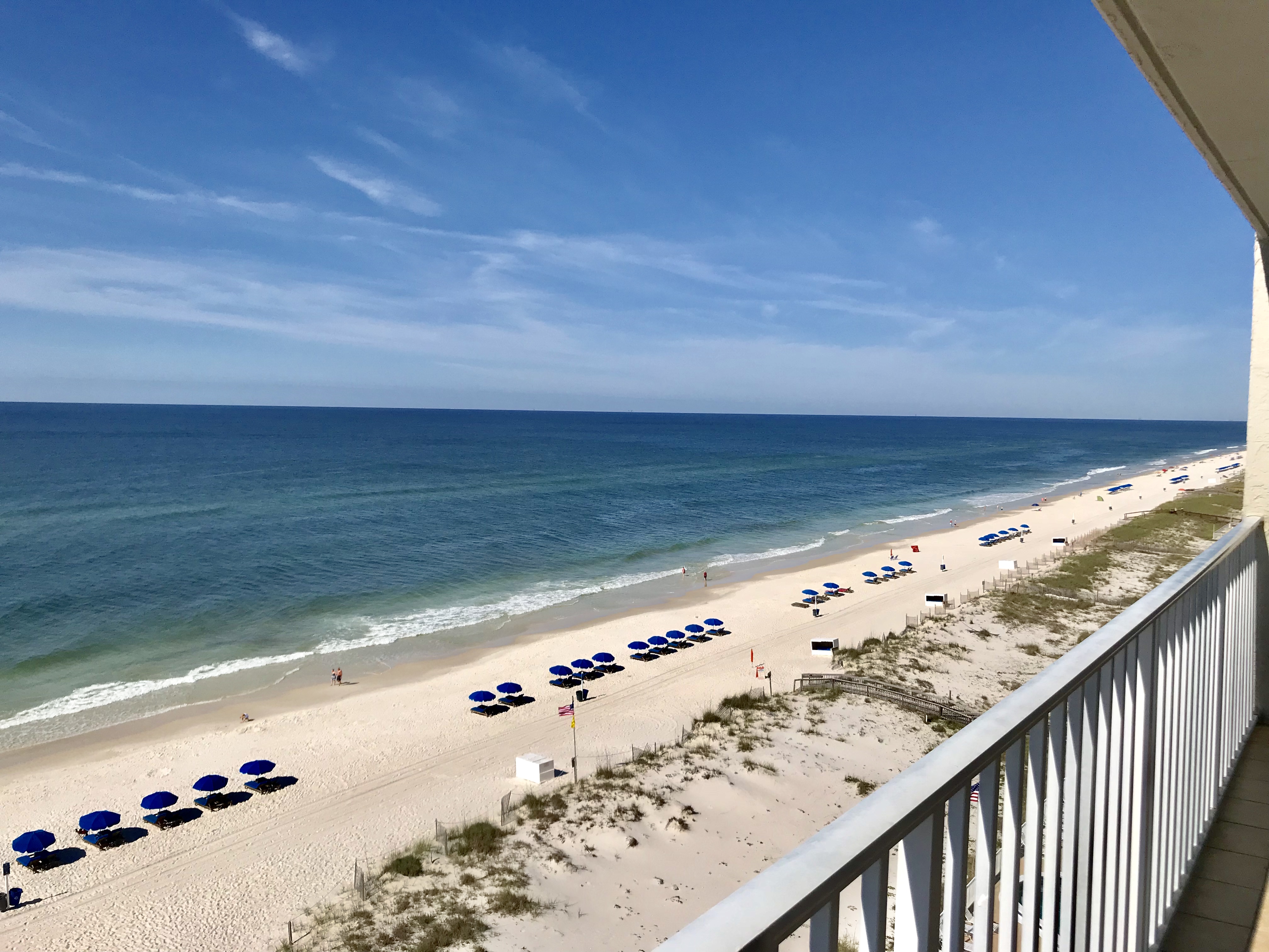 Ocean House 2901 Condo rental in Ocean House - Gulf Shores in Gulf Shores Alabama - #27