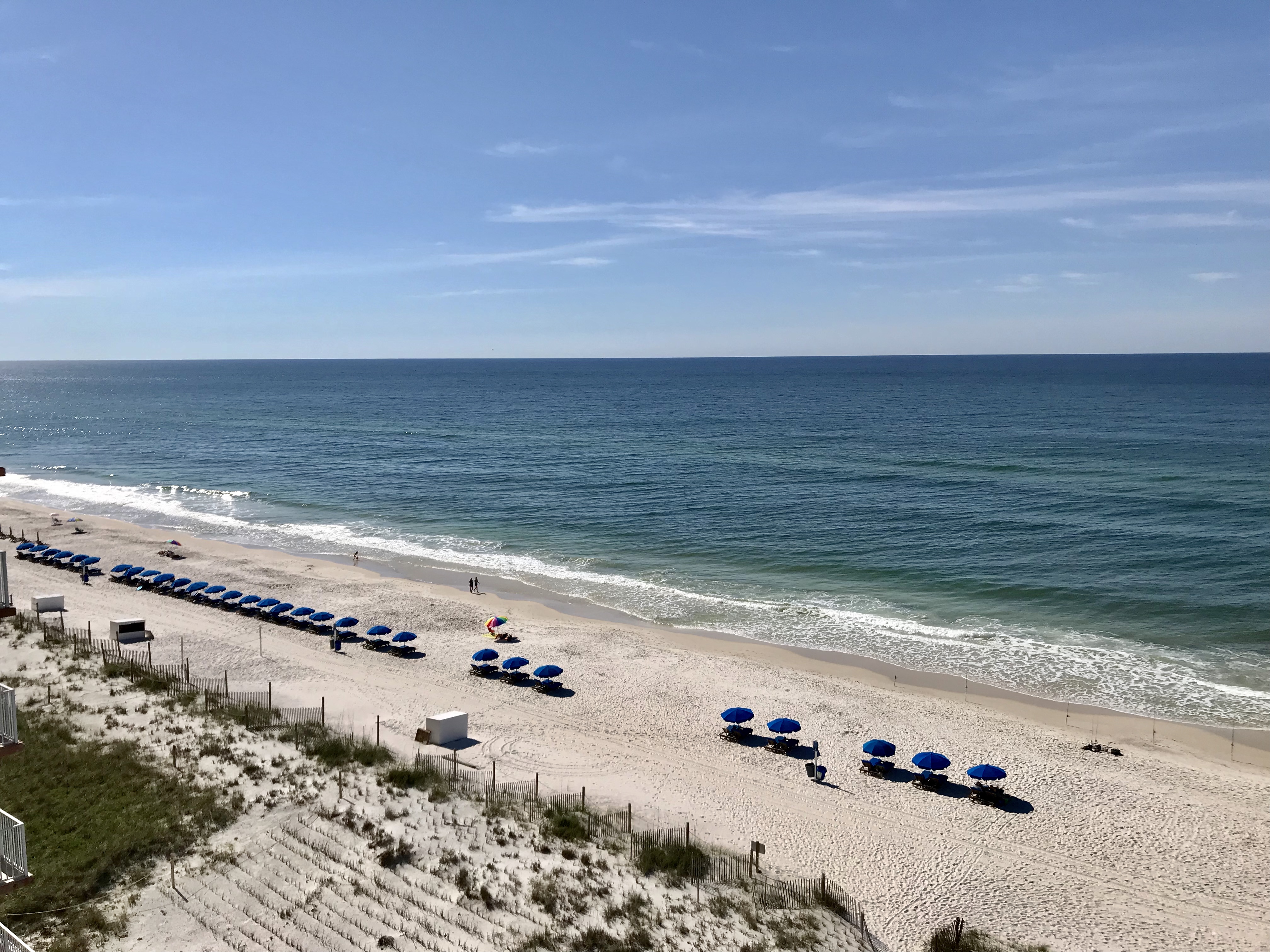 Ocean House 2901 Condo rental in Ocean House - Gulf Shores in Gulf Shores Alabama - #28