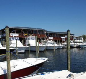 Oyster Bar Marina in Perdido Key Florida