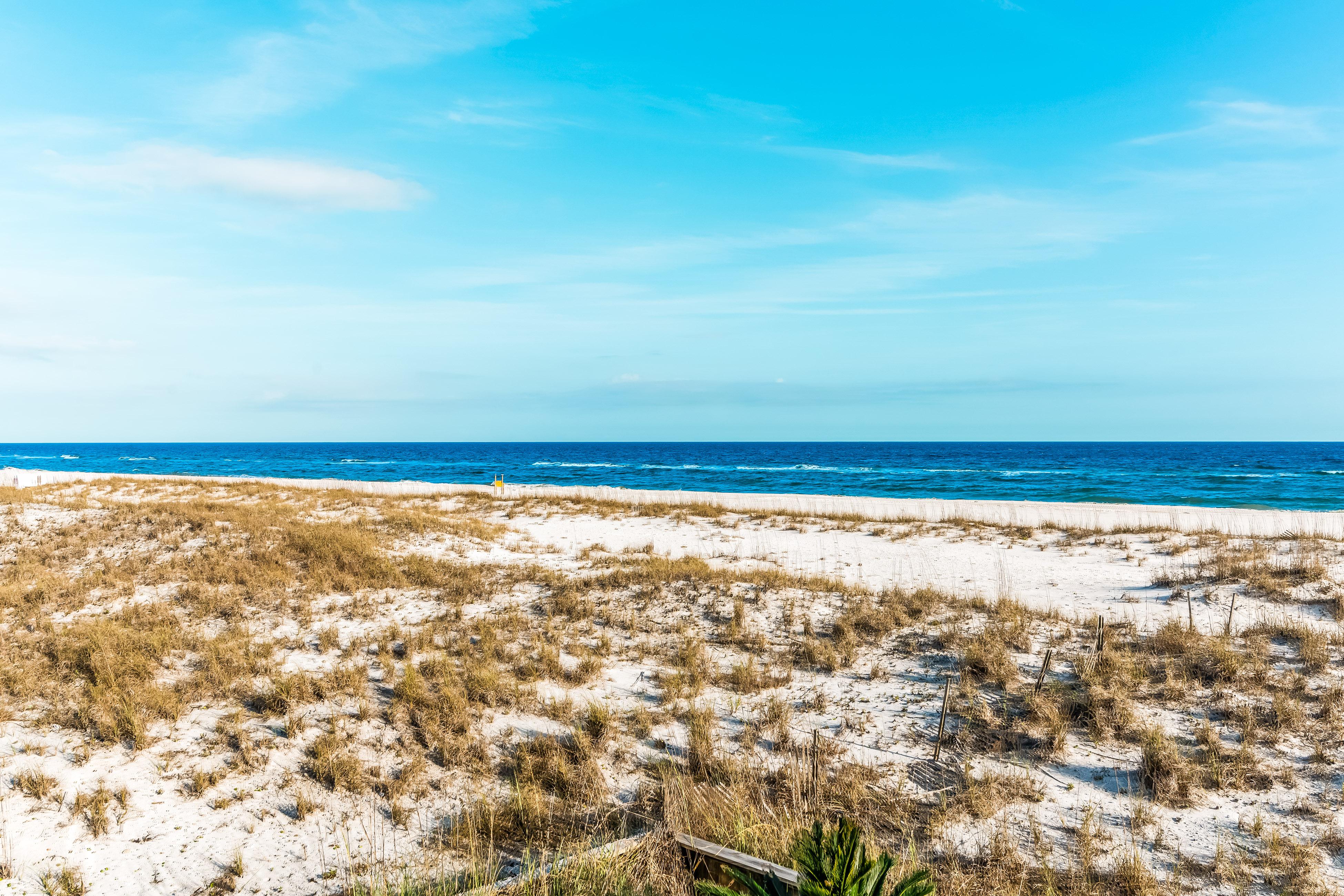 Palm Beach A21 Condo rental in Palm Beach Condos in Orange Beach Alabama - #41