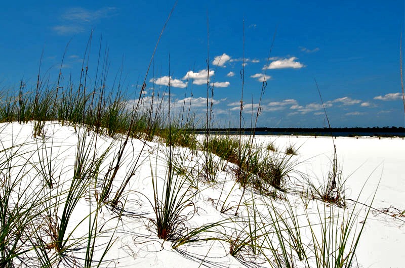 Gulf Highlands Panama City Beach Florida