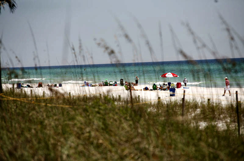 The Shores Condos in Panama City Beach FL