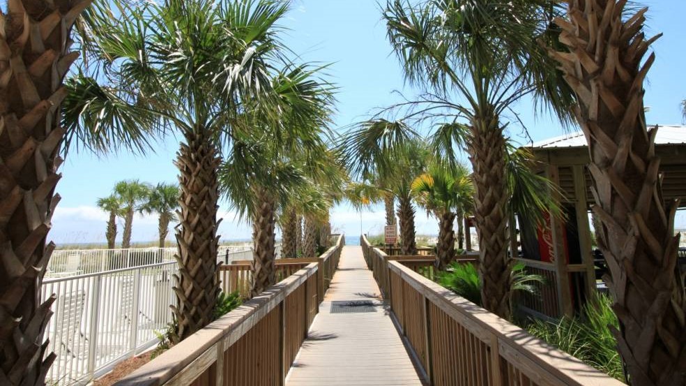 Regency Isle 304 Condo rental in Regency Isle - Orange Beach in Orange Beach Alabama - #34