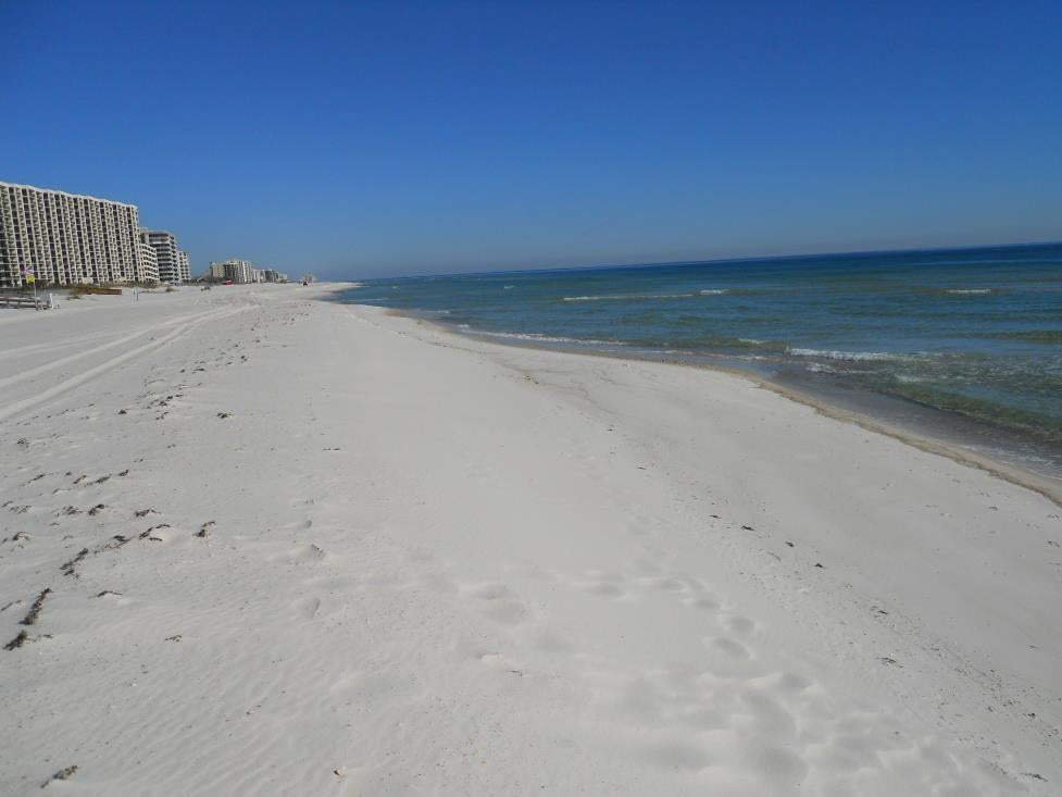 Regency Isle 304 Condo rental in Regency Isle - Orange Beach in Orange Beach Alabama - #36