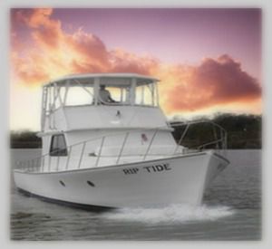 Rip Tide Charters in Orange Beach Alabama