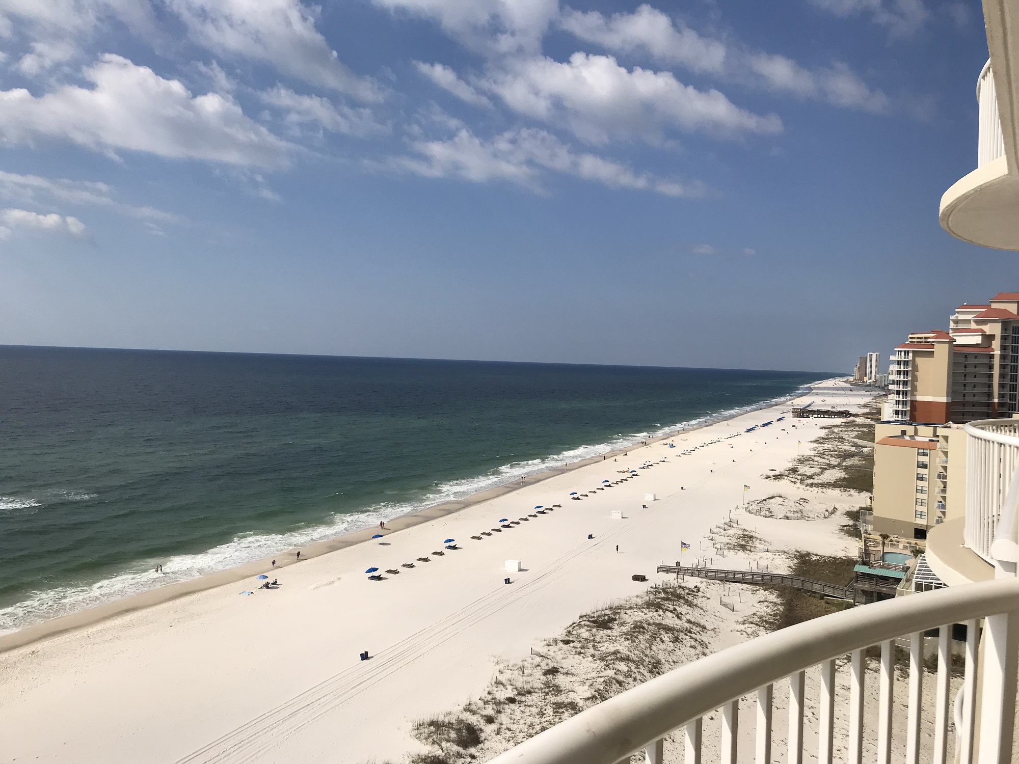 Royal Palms 1305 Condo rental in Royal Palms | Gulf Shores in Gulf Shores Alabama - #14