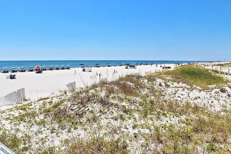 San Carlos 1705 Condo rental in San Carlos - Gulf Shores in Gulf Shores Alabama - #32