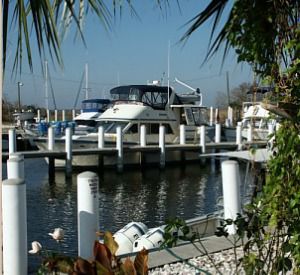 Scipio Creek Marina in Apalachicola Florida