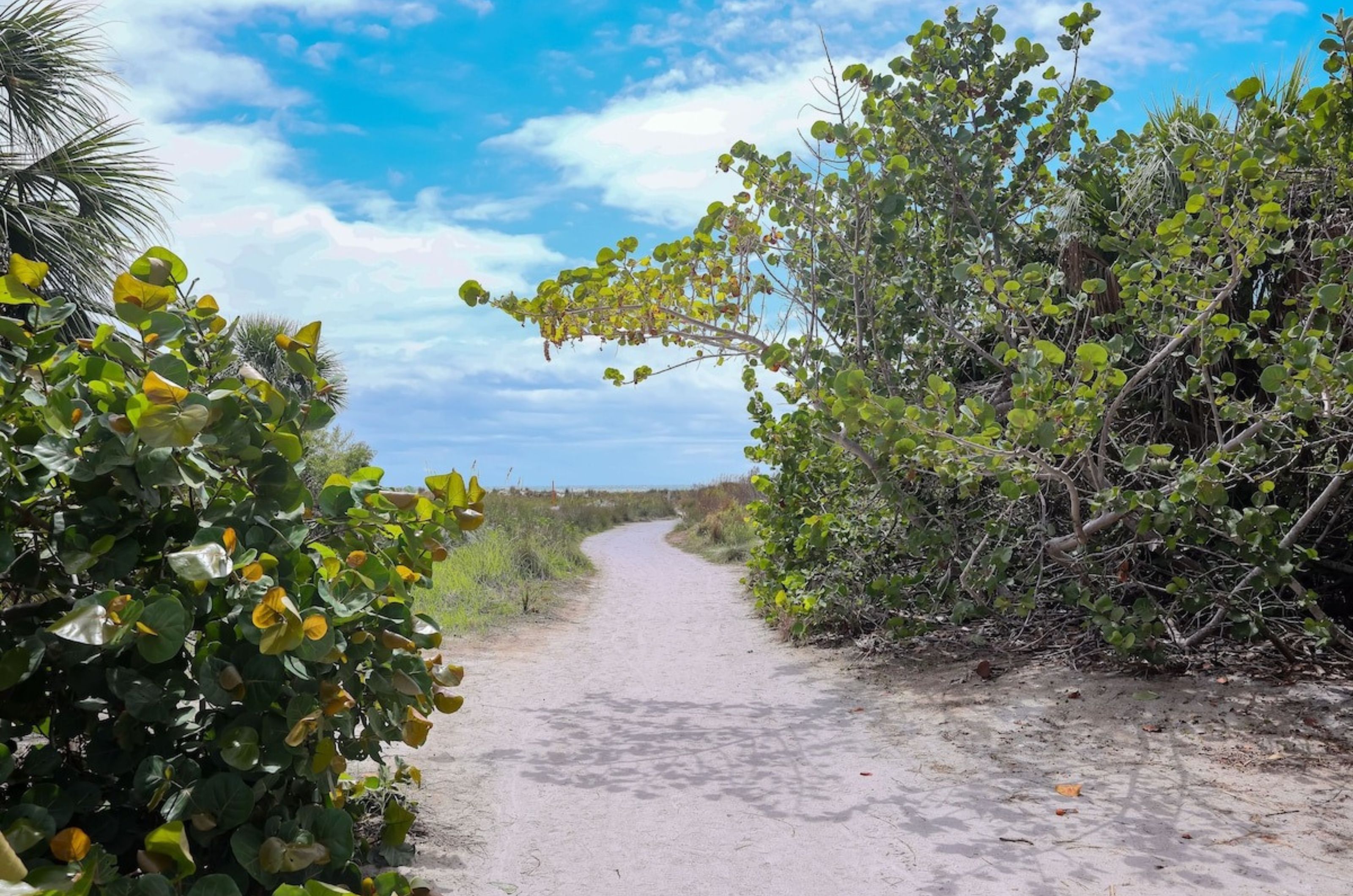 Sandy pathway leading towards the beach 