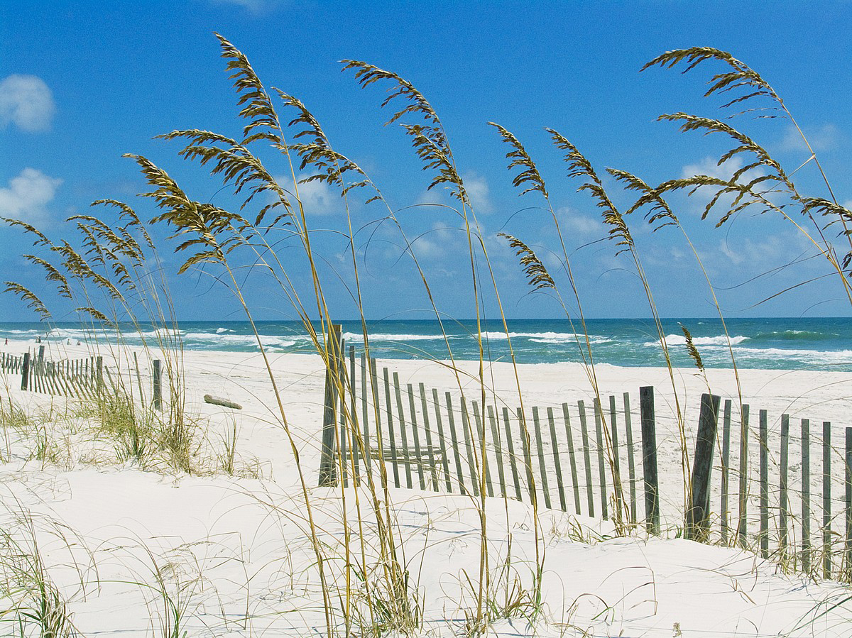 Starboard Village #111 Condo rental in Starboard Village Pensacola Beach in Pensacola Beach Florida - #55