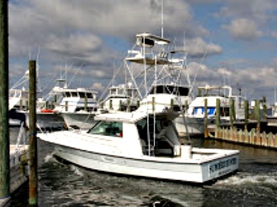 Summer Hunter Charters in Gulf Shores Alabama