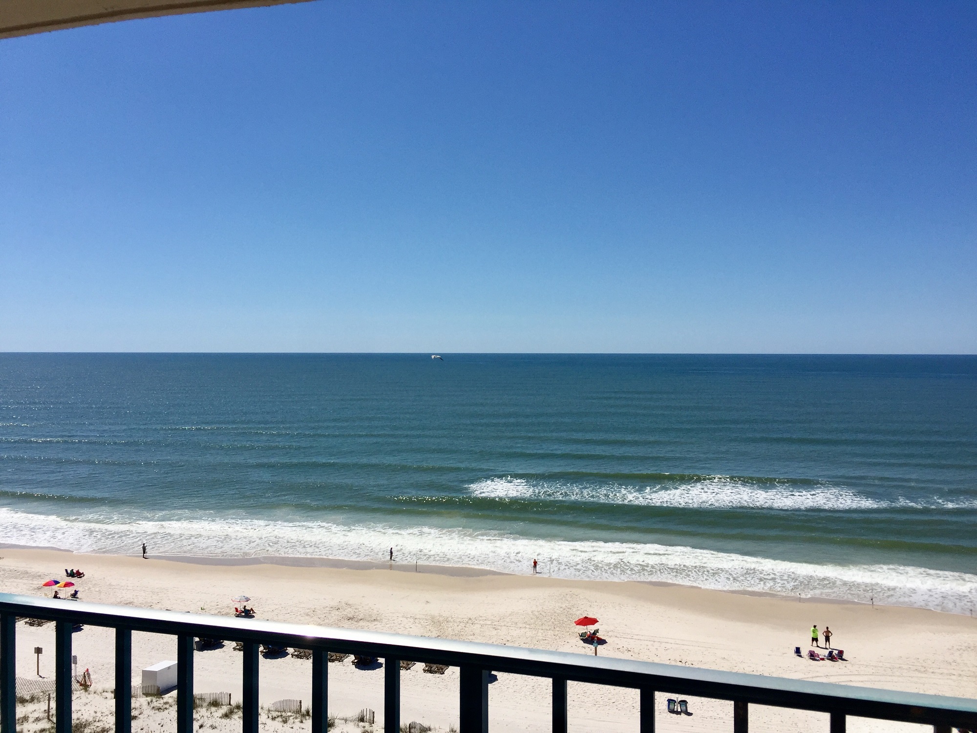 Surf Side Shores 1901 Condo rental in Surfside Shores - Gulf Shores in Gulf Shores Alabama - #23