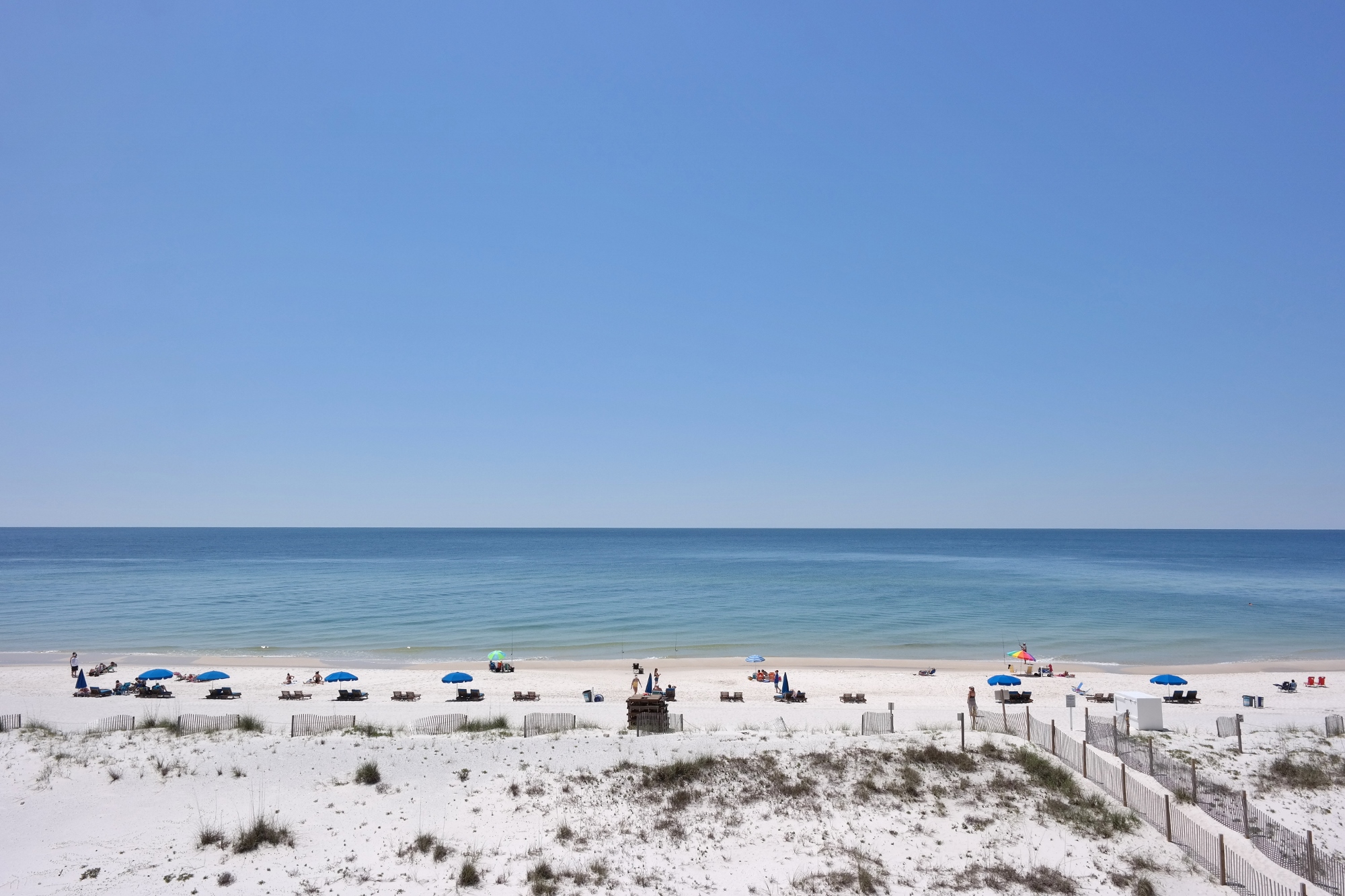 Surf Side Shores 2401  Condo rental in Surfside Shores - Gulf Shores in Gulf Shores Alabama - #22