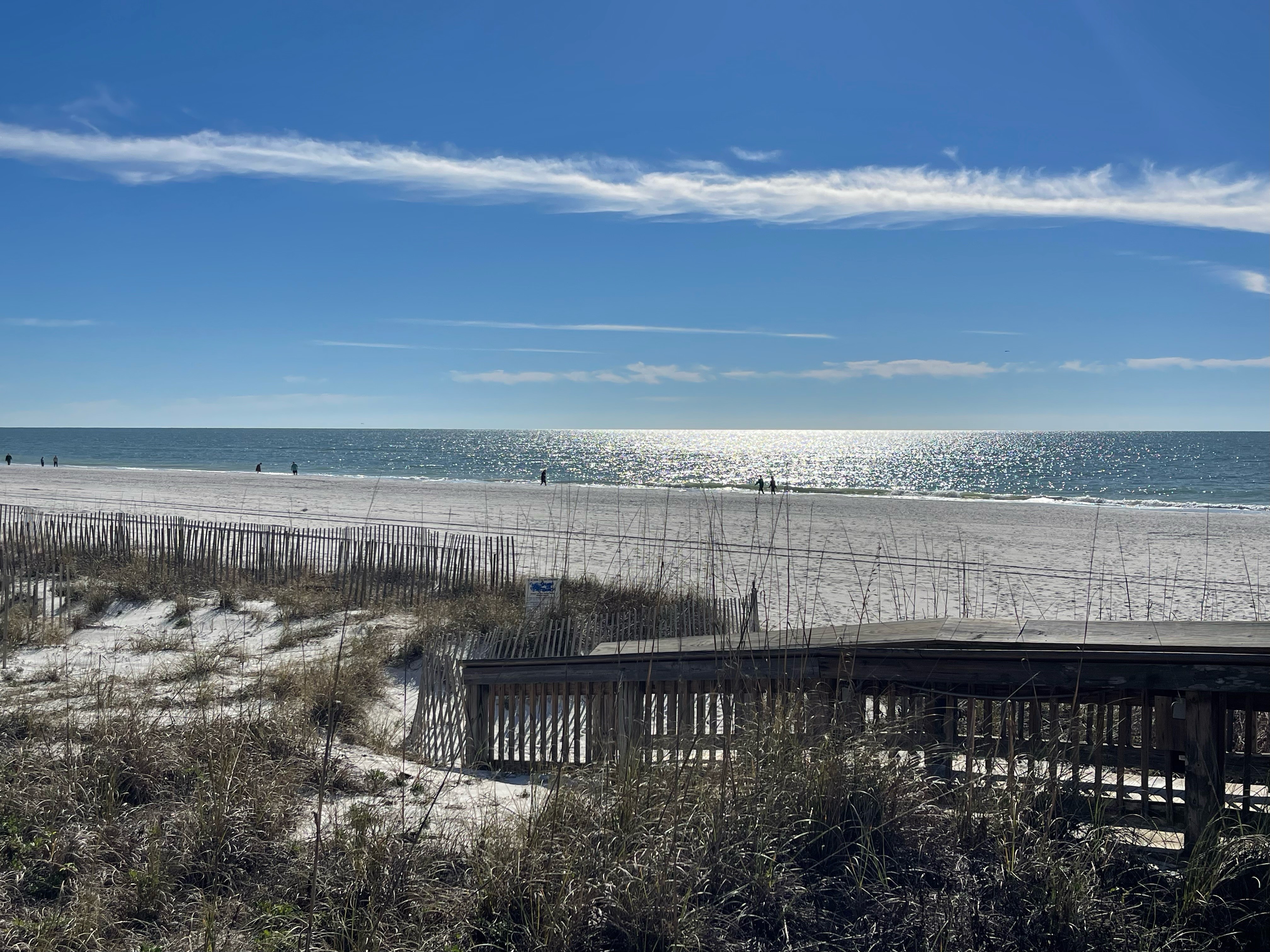 Tradewinds 908 Condo rental in Tradewinds Condominiums in Orange Beach Alabama - #4