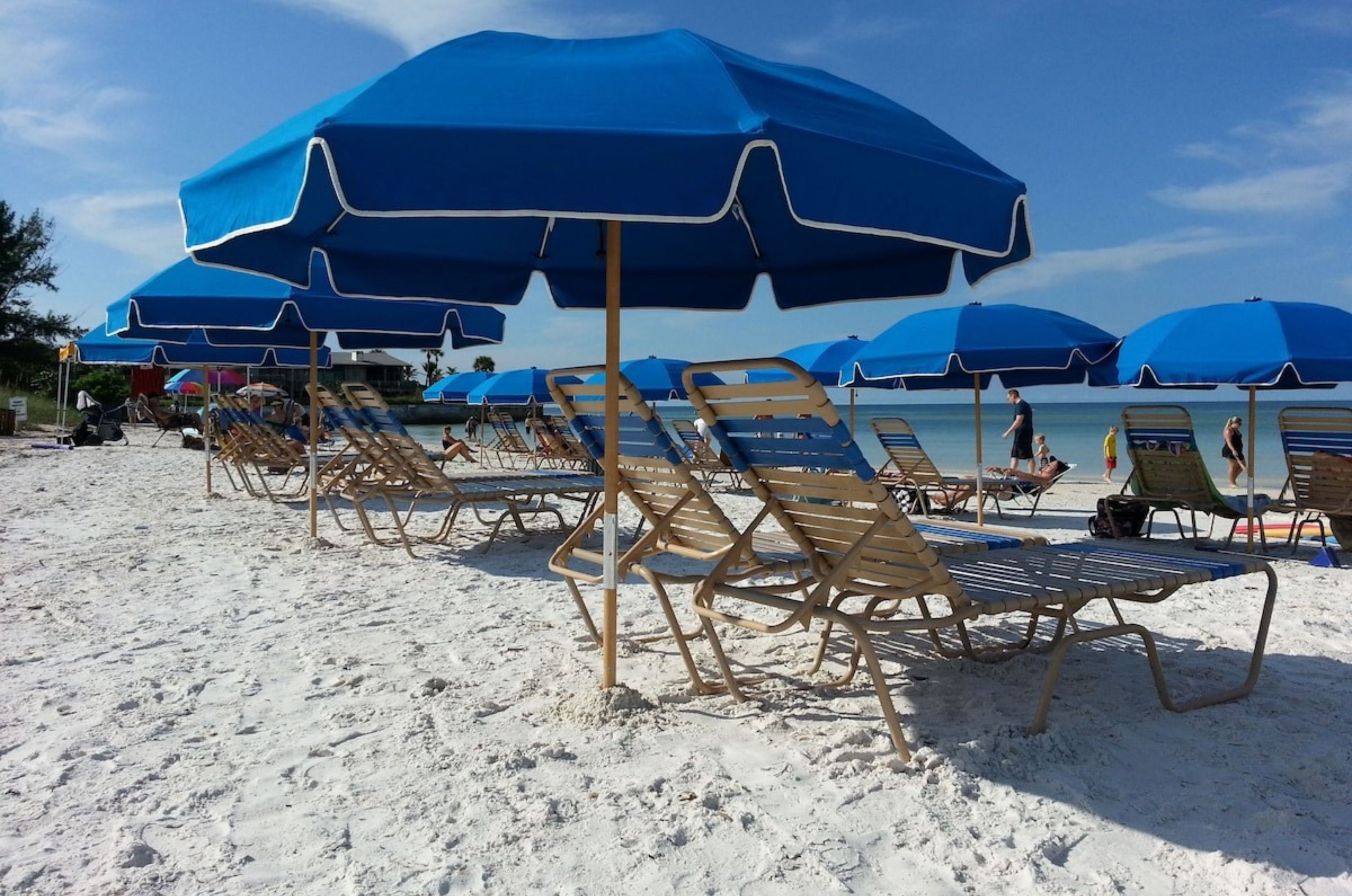 Close up of blue lounge chairs and umbrellas on the beach in Siesta Key Florida	