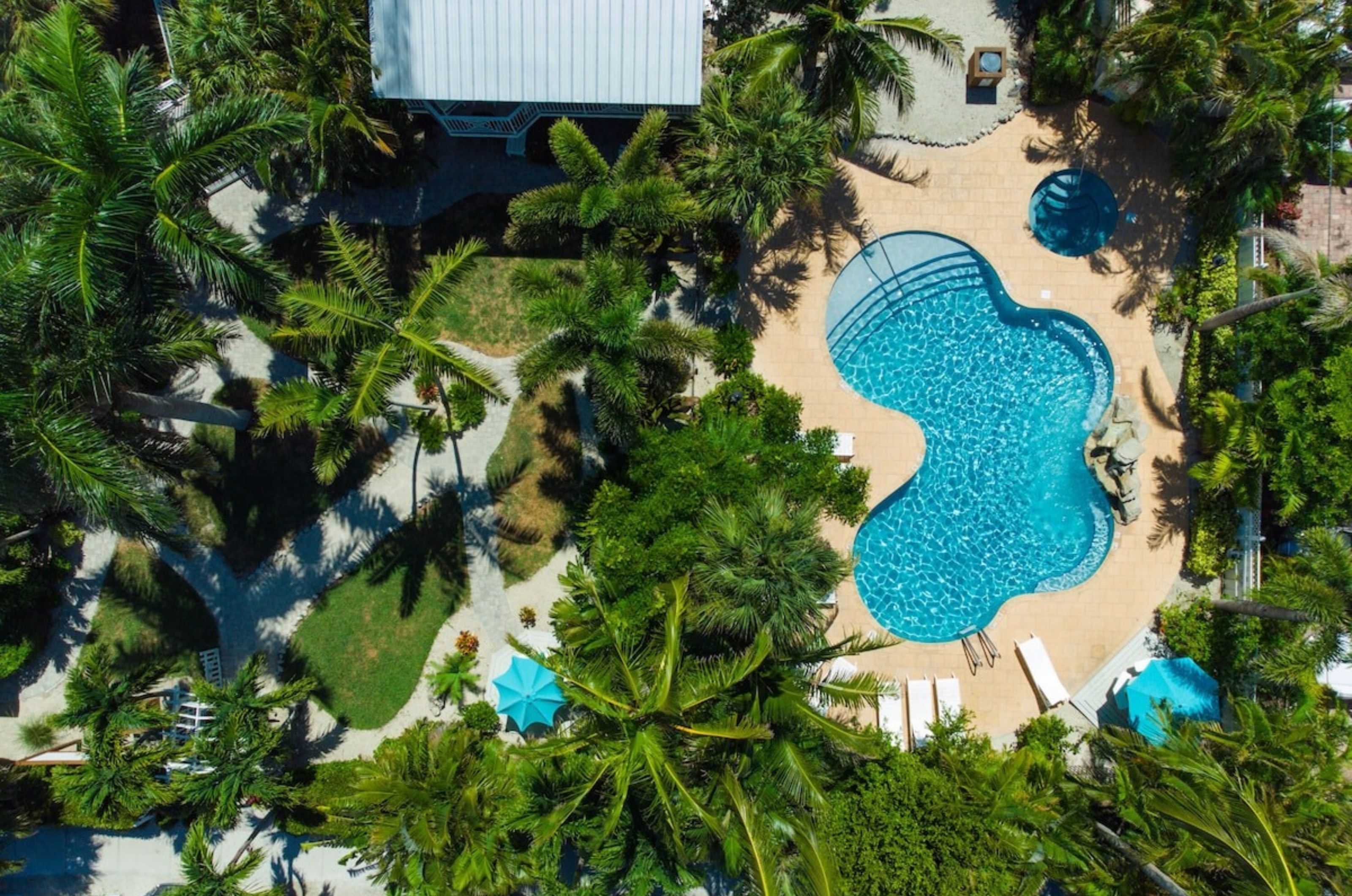 Birds eye view of the outdoor swimming pool and hot tub surrounded by greenery 